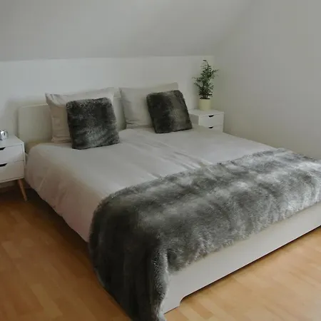 Rheinau Apartment Apartamento *