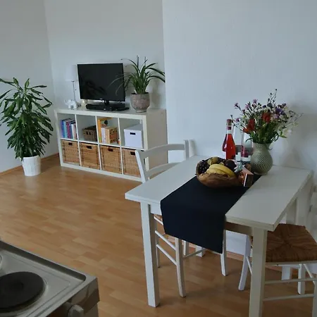 Rheinau Apartment رايناو