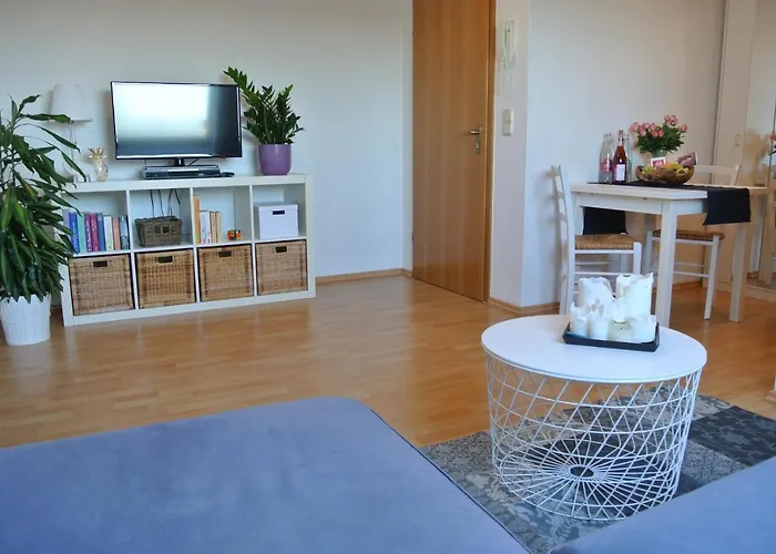 Rheinau Apartment Apartamento